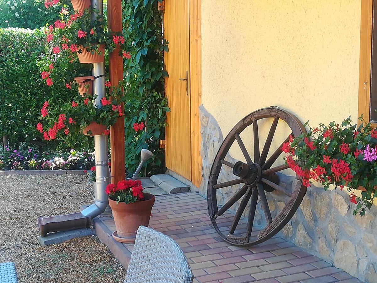 Homestay Muskatlis Haz