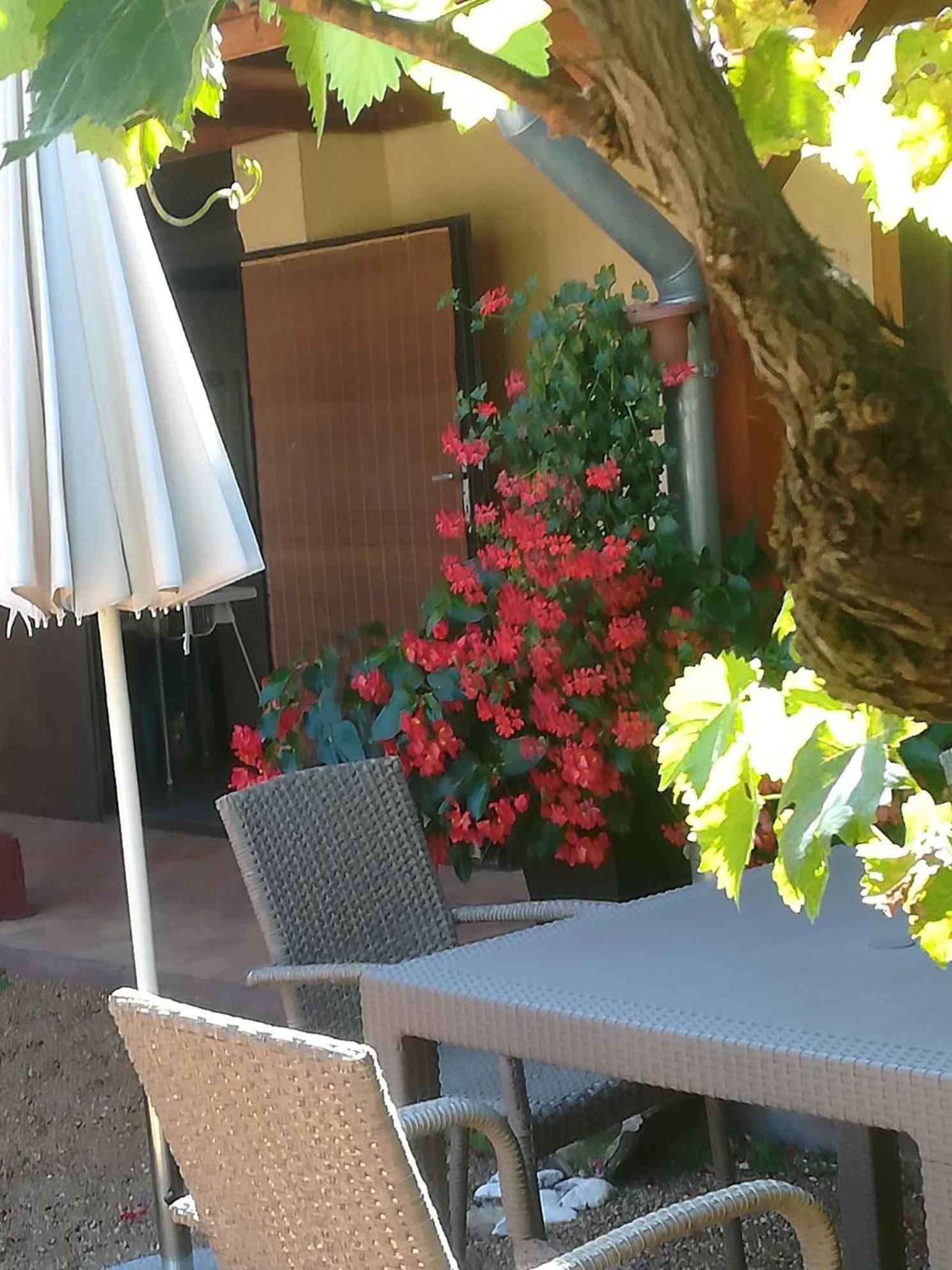 Homestay Muskatlis Haz